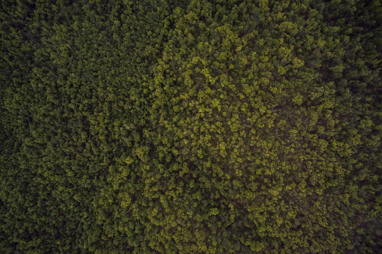 Est aliquam sed alias expedita rerum